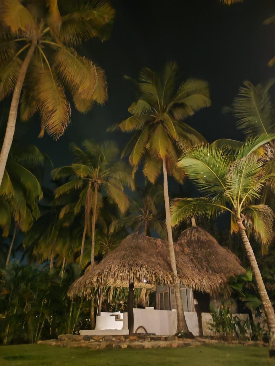Hotel Casalina Palomino Exterior photo